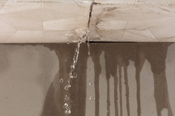 Professional Sewage Cleanup technician working in Wayland, MI
